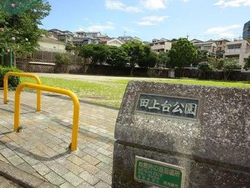 Slide 6