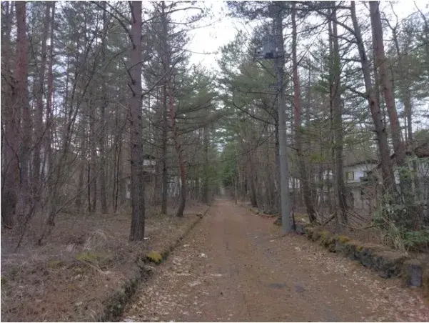 Slide 3