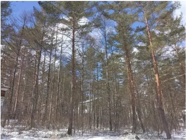 Slide 6