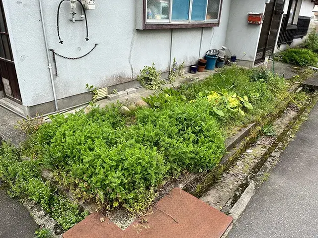 Slide 2