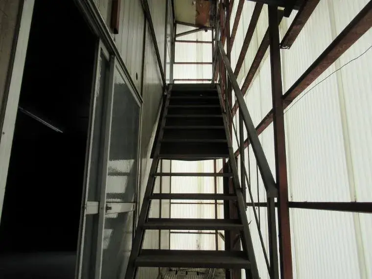 Slide 5