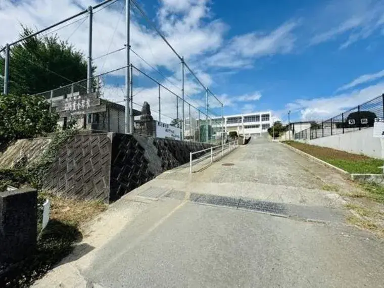 Slide 5