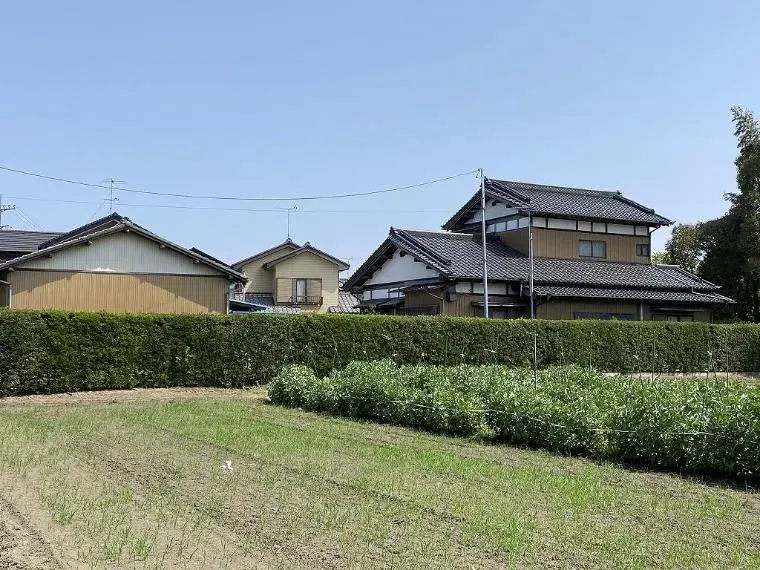 Slide 5
