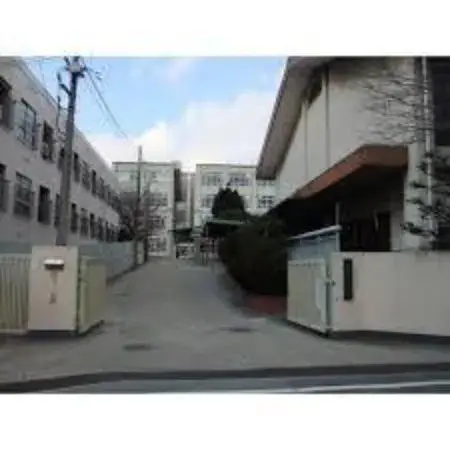 Slide 5