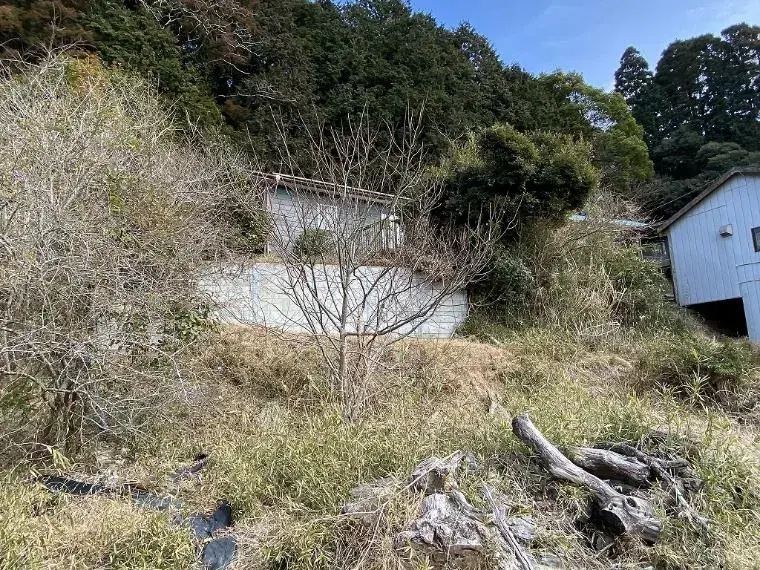 Slide 9