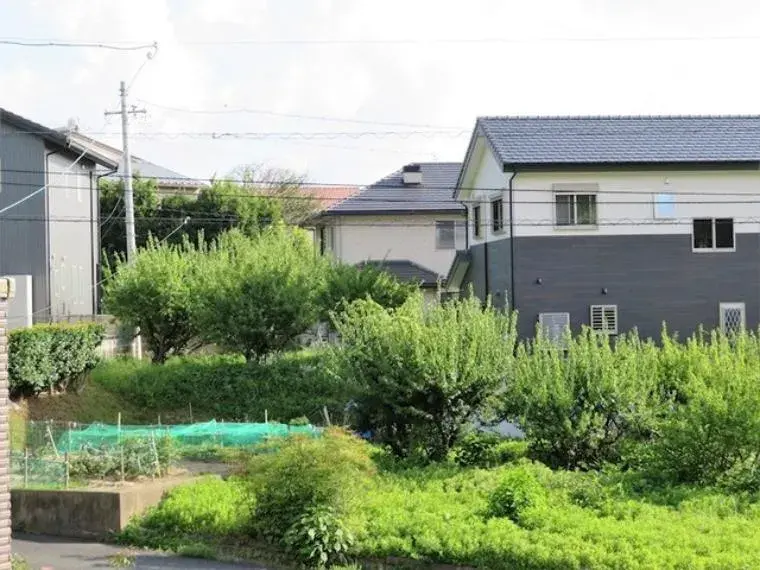 Slide 4