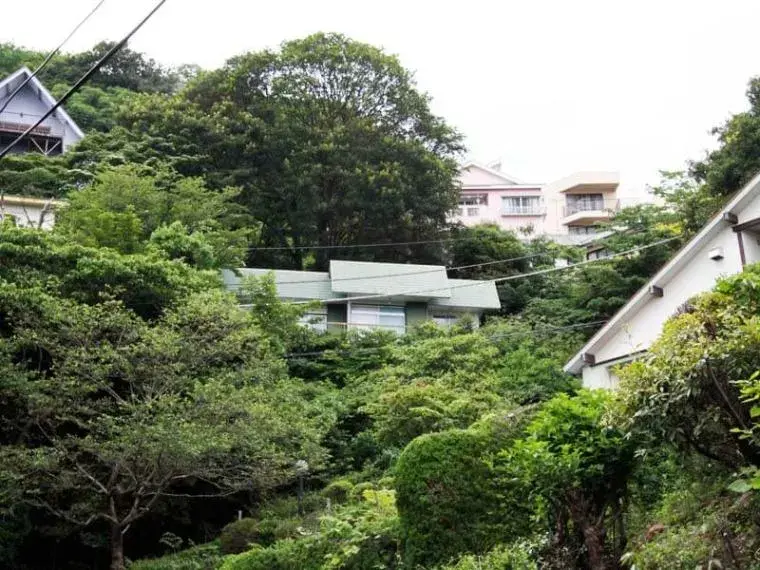 Slide 1