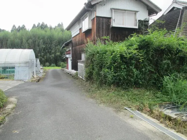 Slide 5