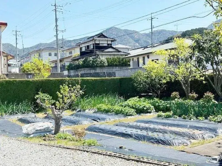 Slide 6