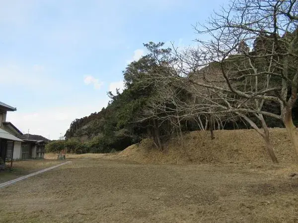 Slide 8