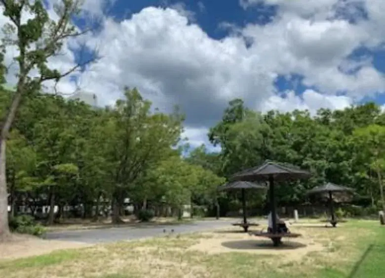 Slide 8