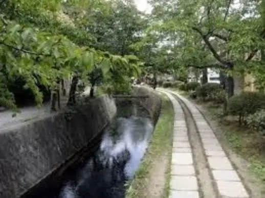 Slide 5