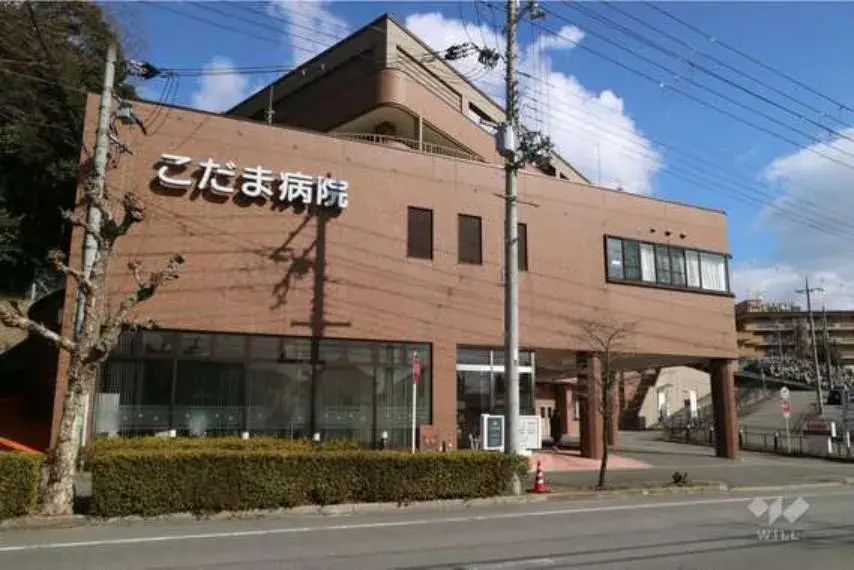 Slide 6