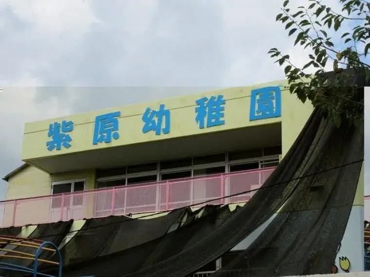 Slide 6