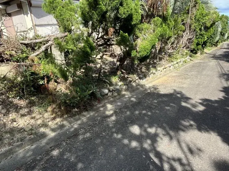 Slide 4
