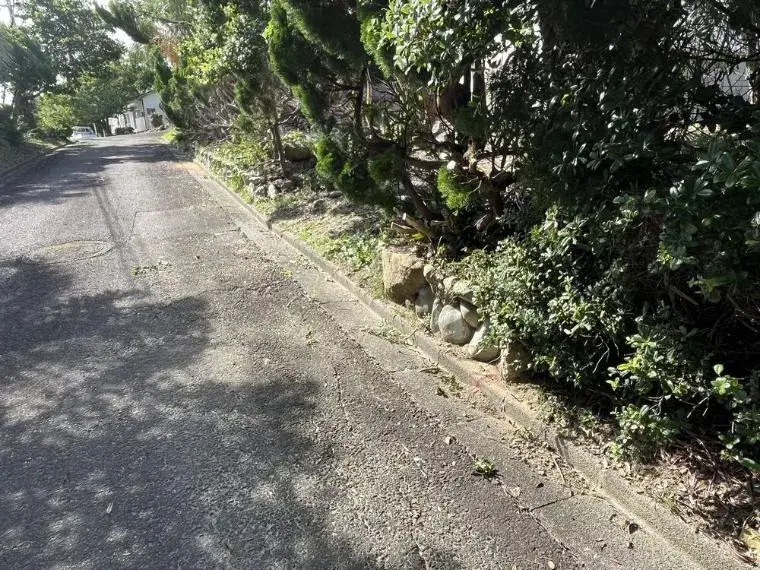 Slide 5
