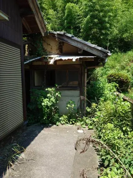 Slide 6