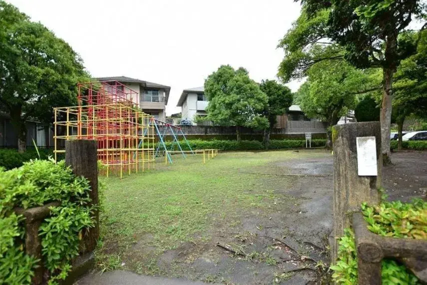 Slide 5