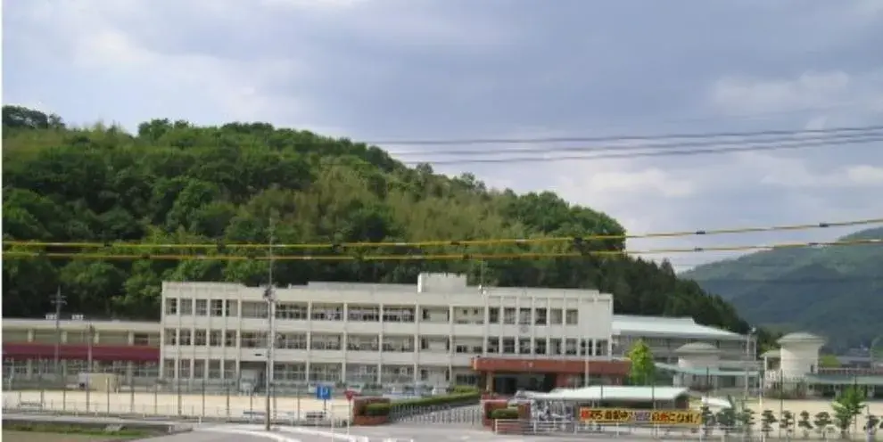 Slide 17