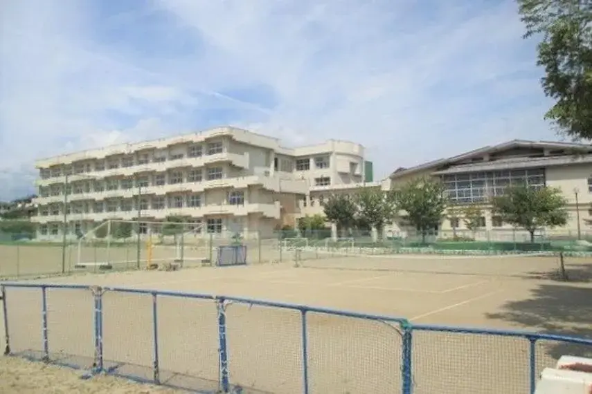 Slide 6