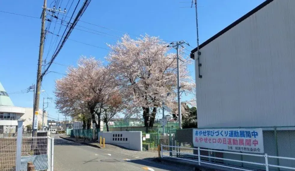 Slide 31