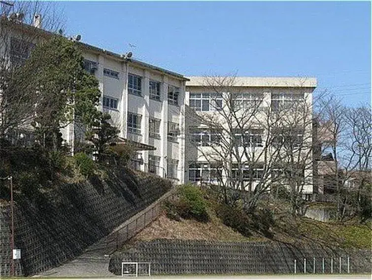 Slide 7