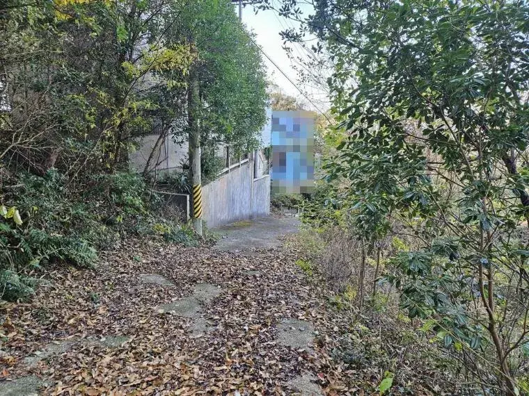Slide 5
