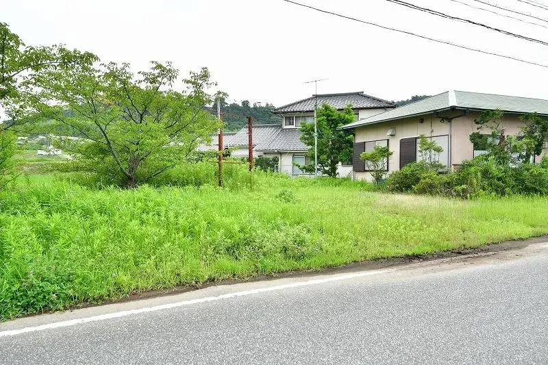 Slide 4
