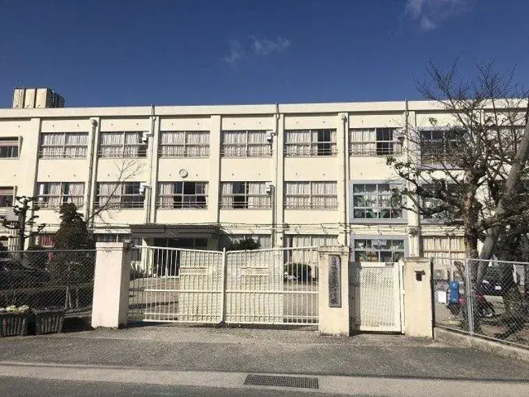 Slide 6