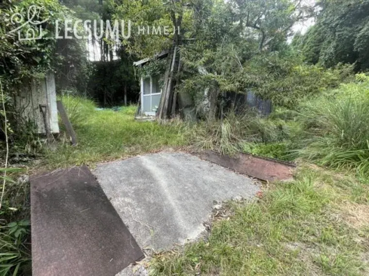 Slide 4