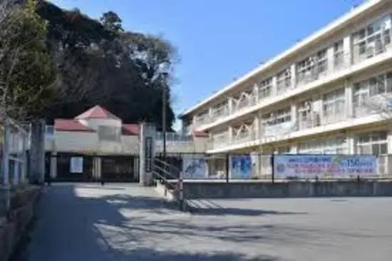 Slide 24