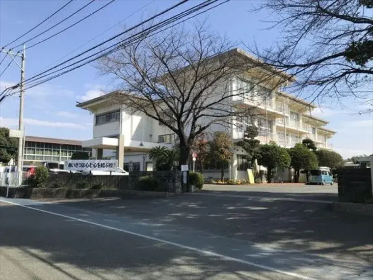 Slide 7