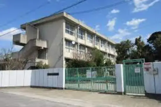 Slide 5