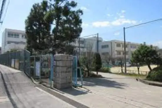 Slide 6