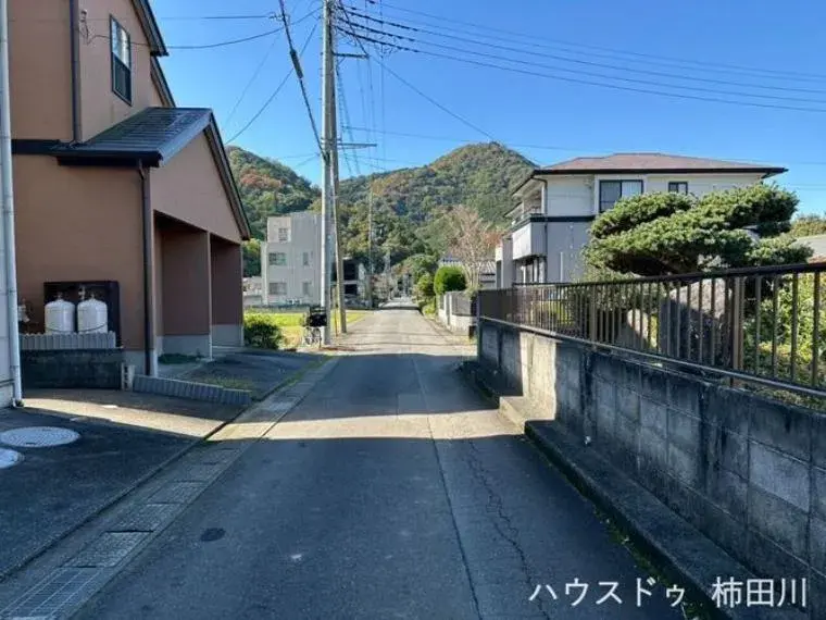 Slide 1
