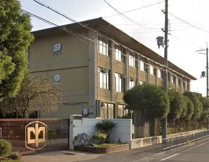 Slide 8