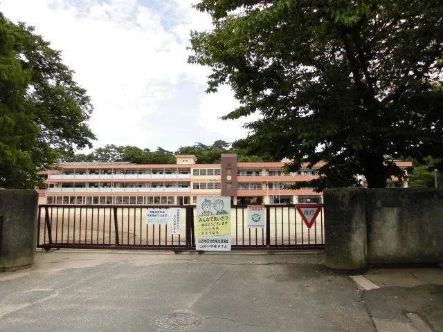 Slide 31