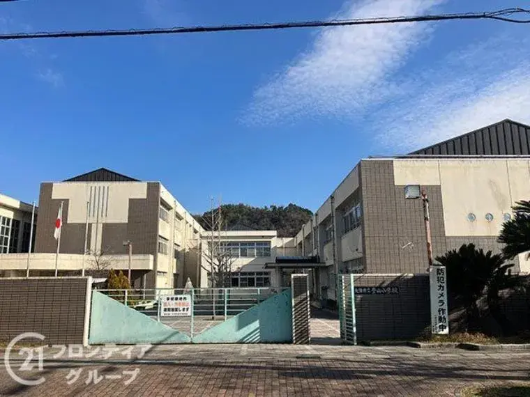 Slide 6