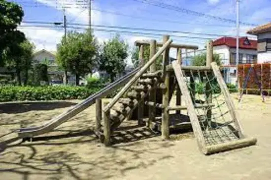 Slide 5