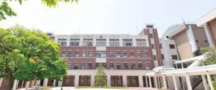Slide 10