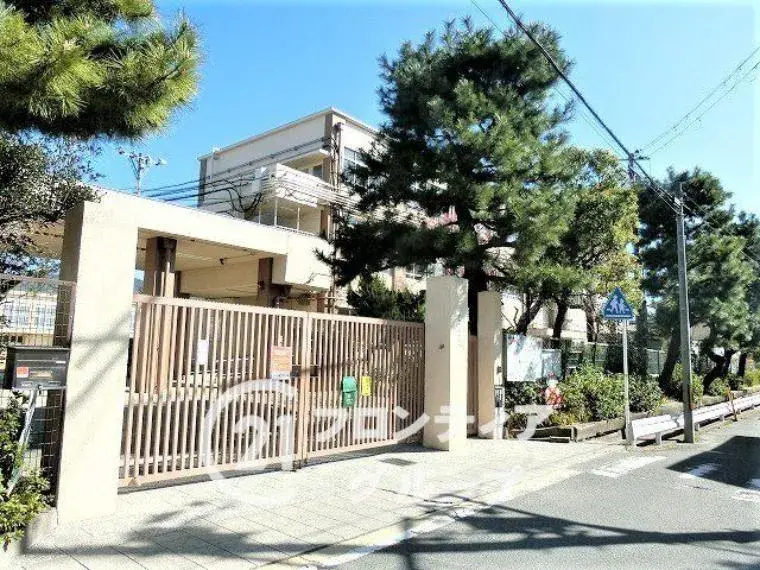 Slide 6