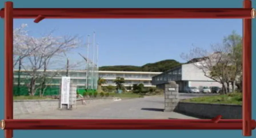 Slide 29