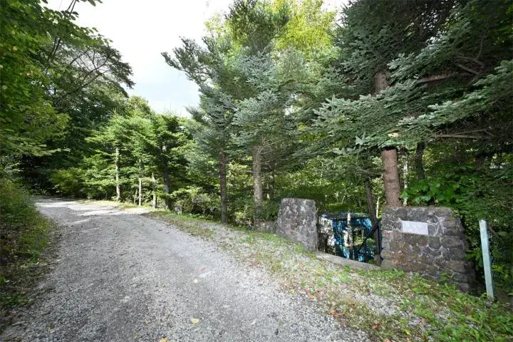 Slide 17