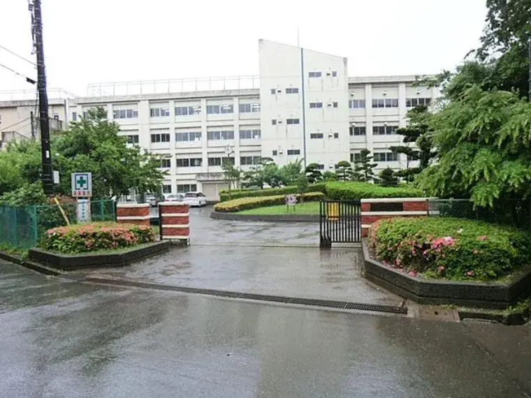 Slide 8