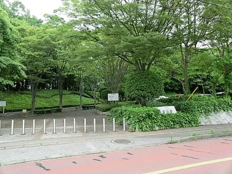 Slide 1