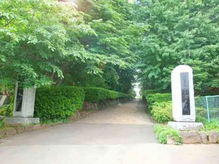 Slide 6