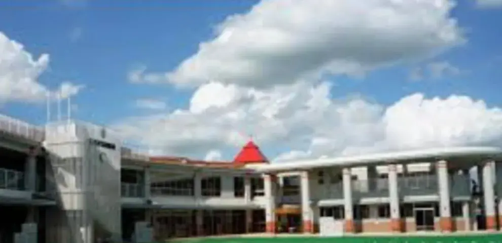 Slide 8