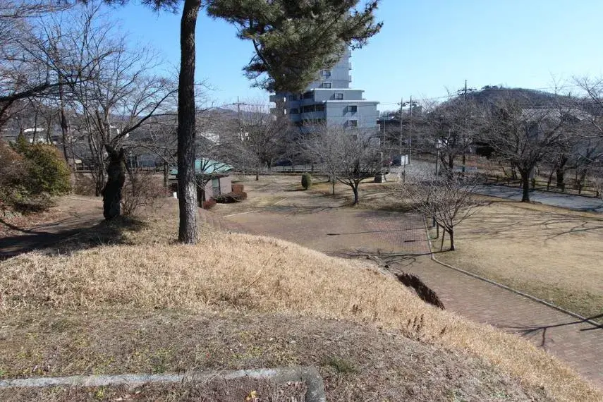 Slide 12