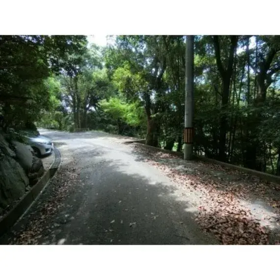 Slide 24