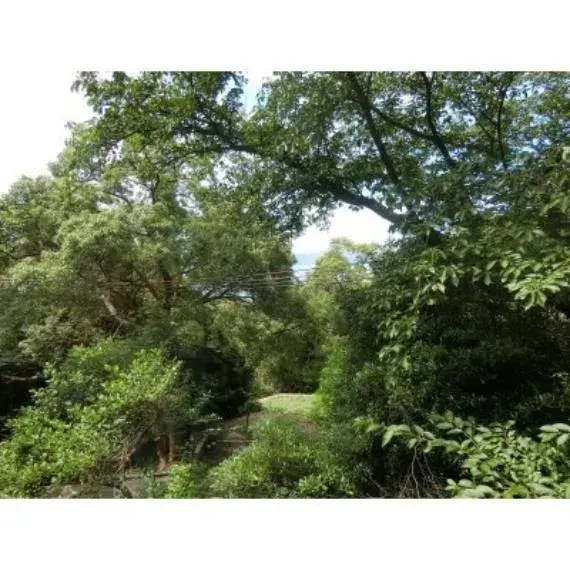 Slide 26